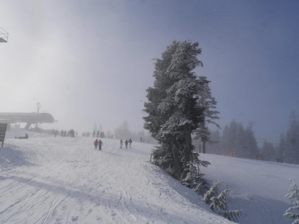 Grouse Mountain in the snow