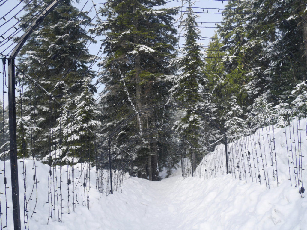 The Grouse Mountain Light walk