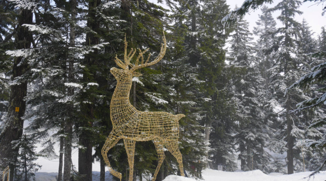 Sparkly deer in the snow