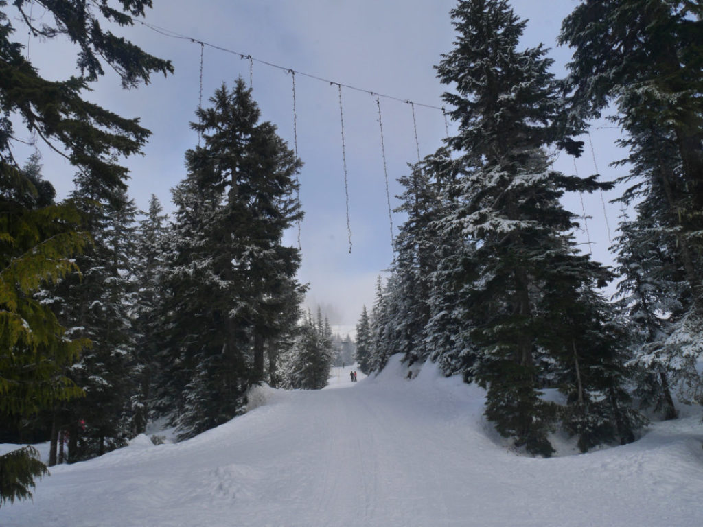 Grouse Mountain in the snow