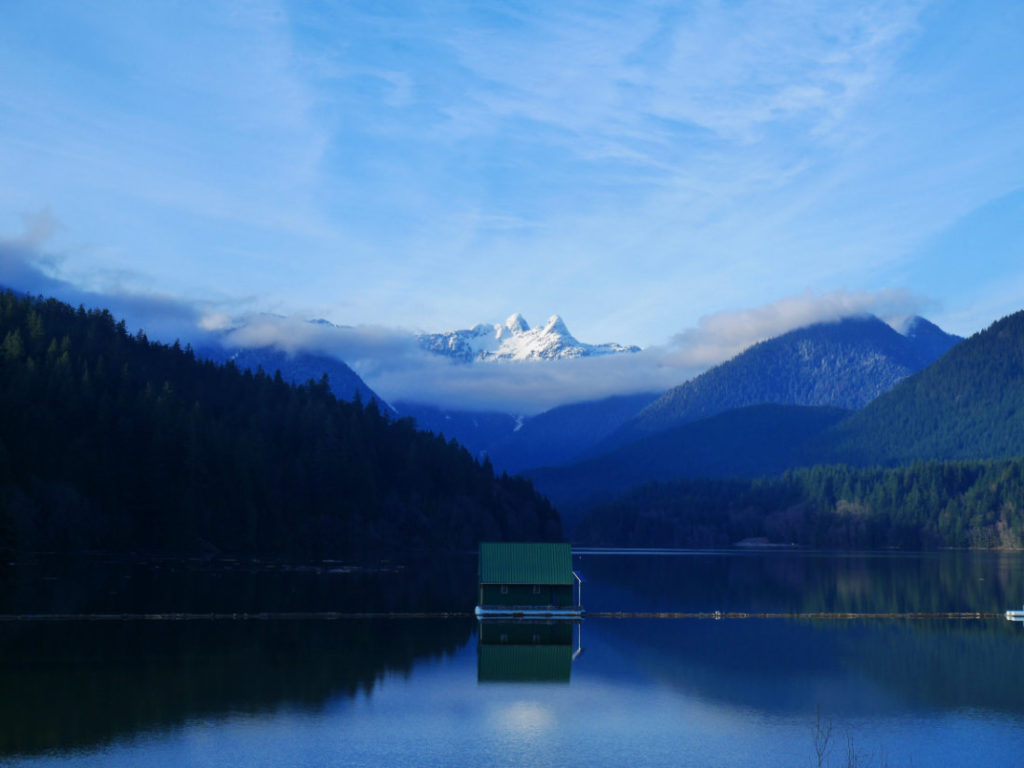 The lions behind Capilano lake