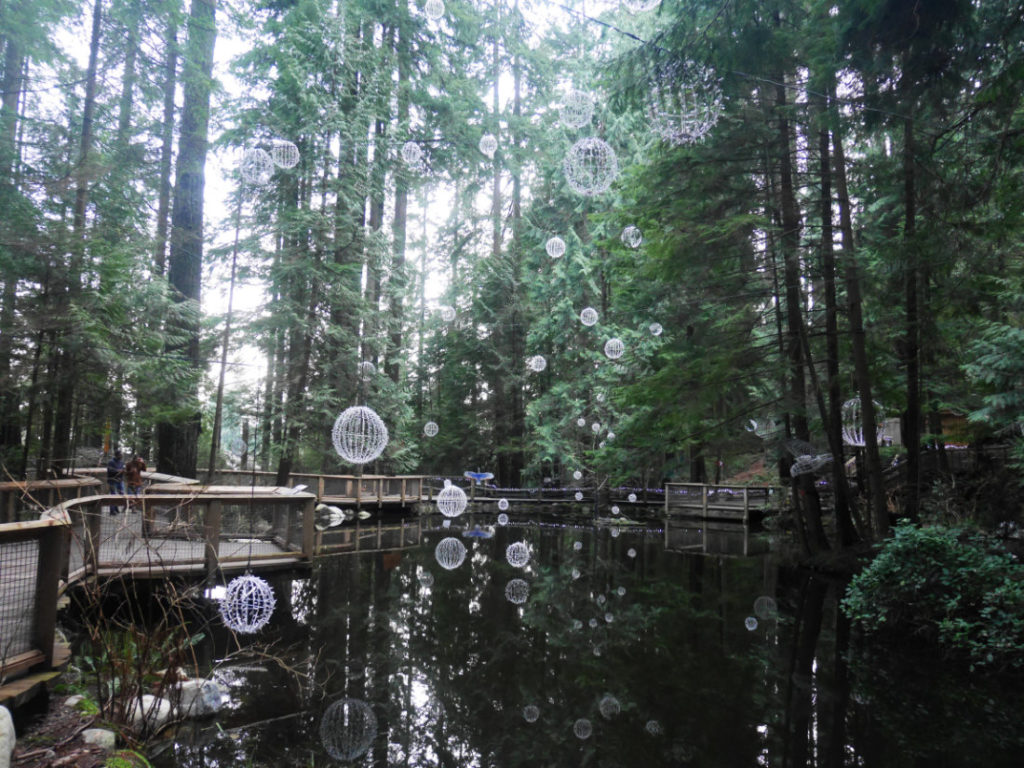 The capilano suspension bridge park