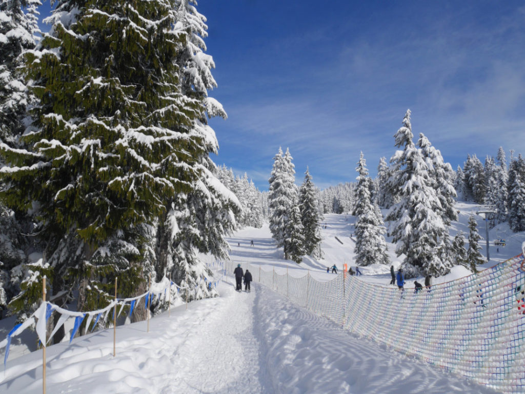 The start of the Dog Mountain trail
