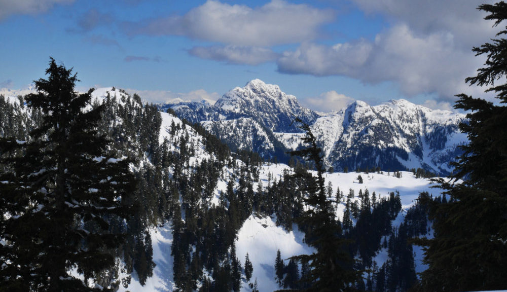 Views from Dam Mountain