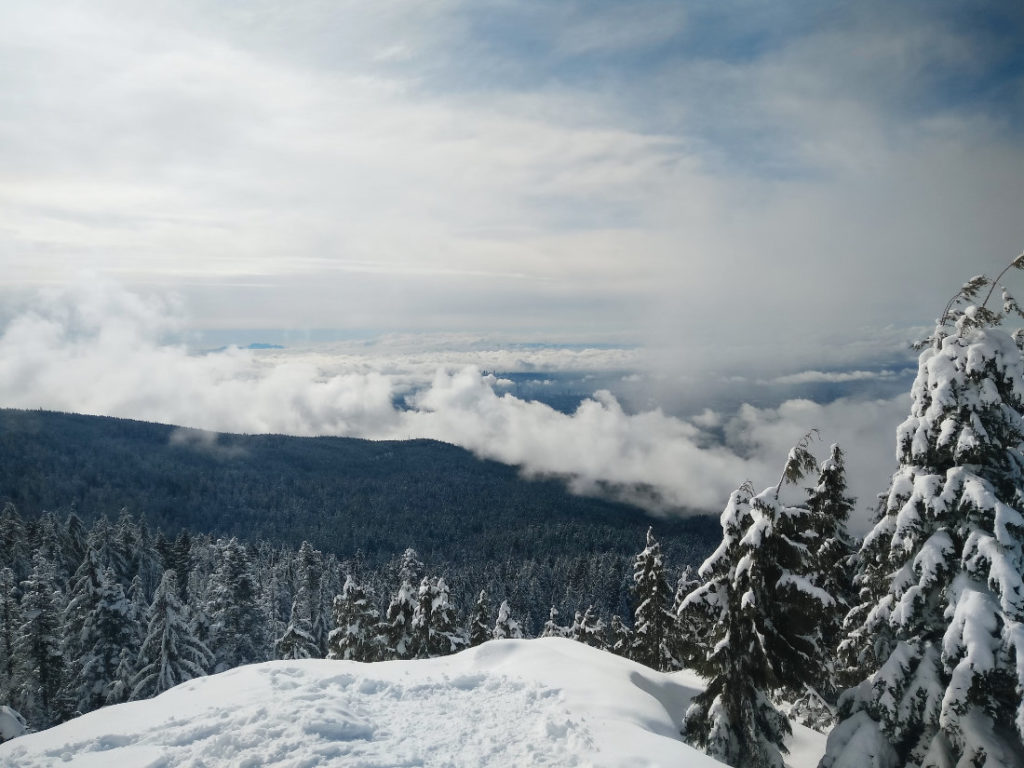 Views back to Mount Seymore