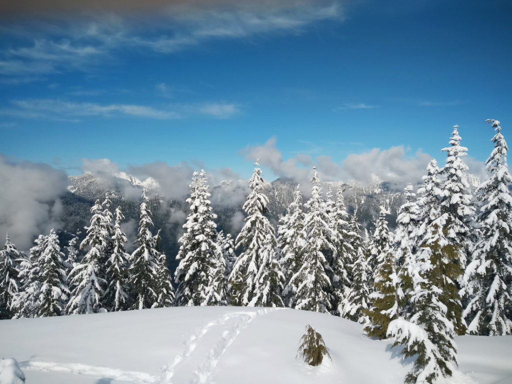 Views from the end of the Dog Mountain Trail