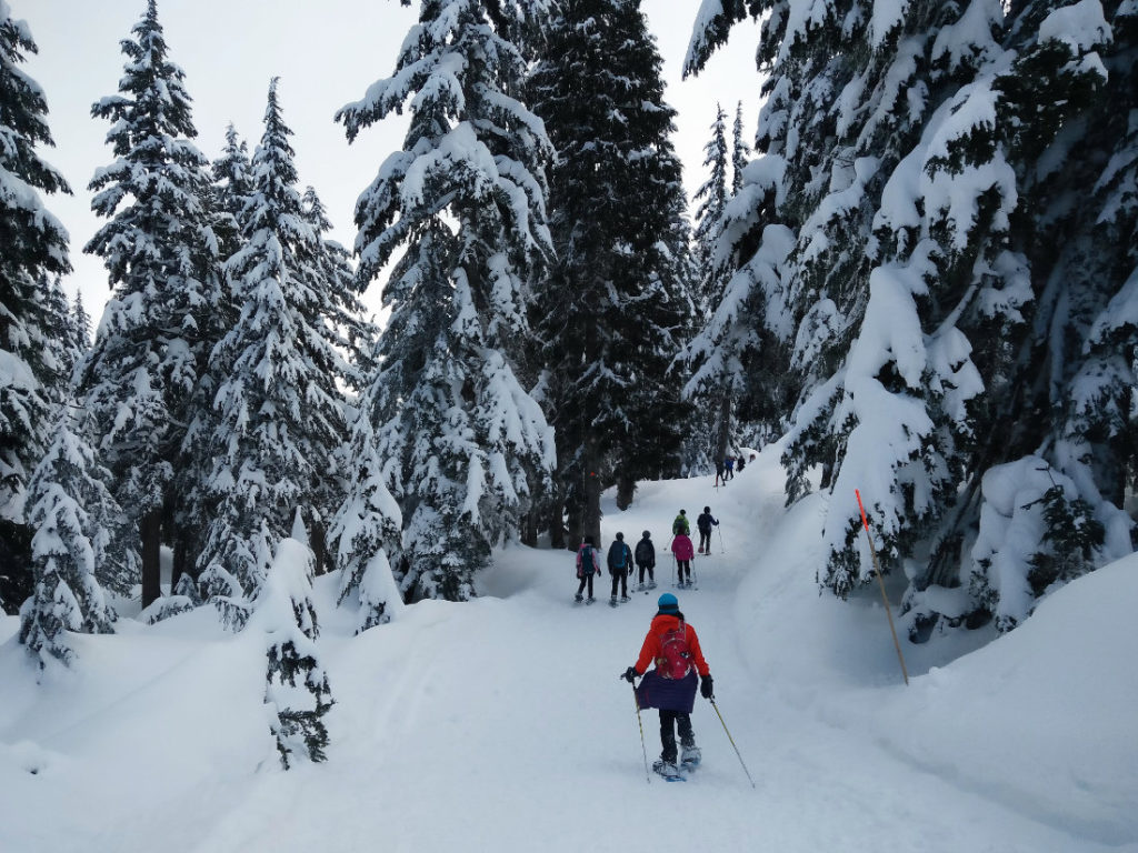 Snowshoe trails on Mount Seymour