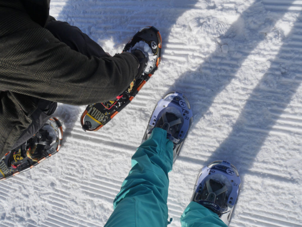 Snowshoes