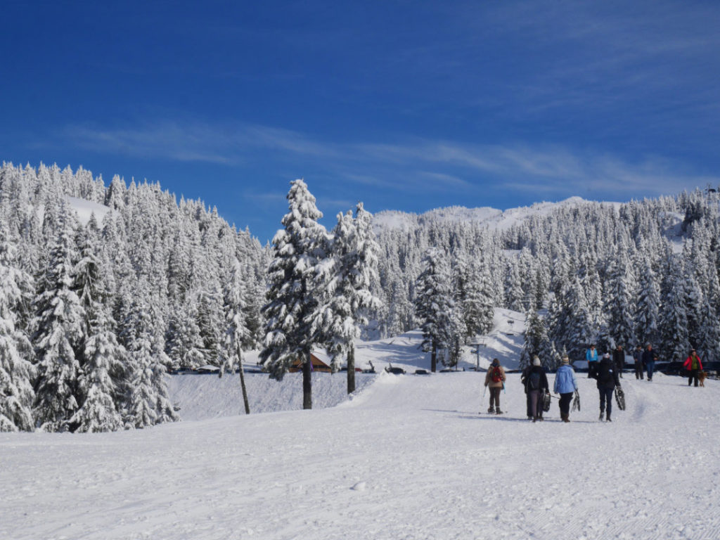 Mount Seymour in the snow