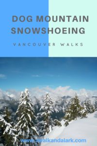 Dog Mountain Trail - snowshoeing