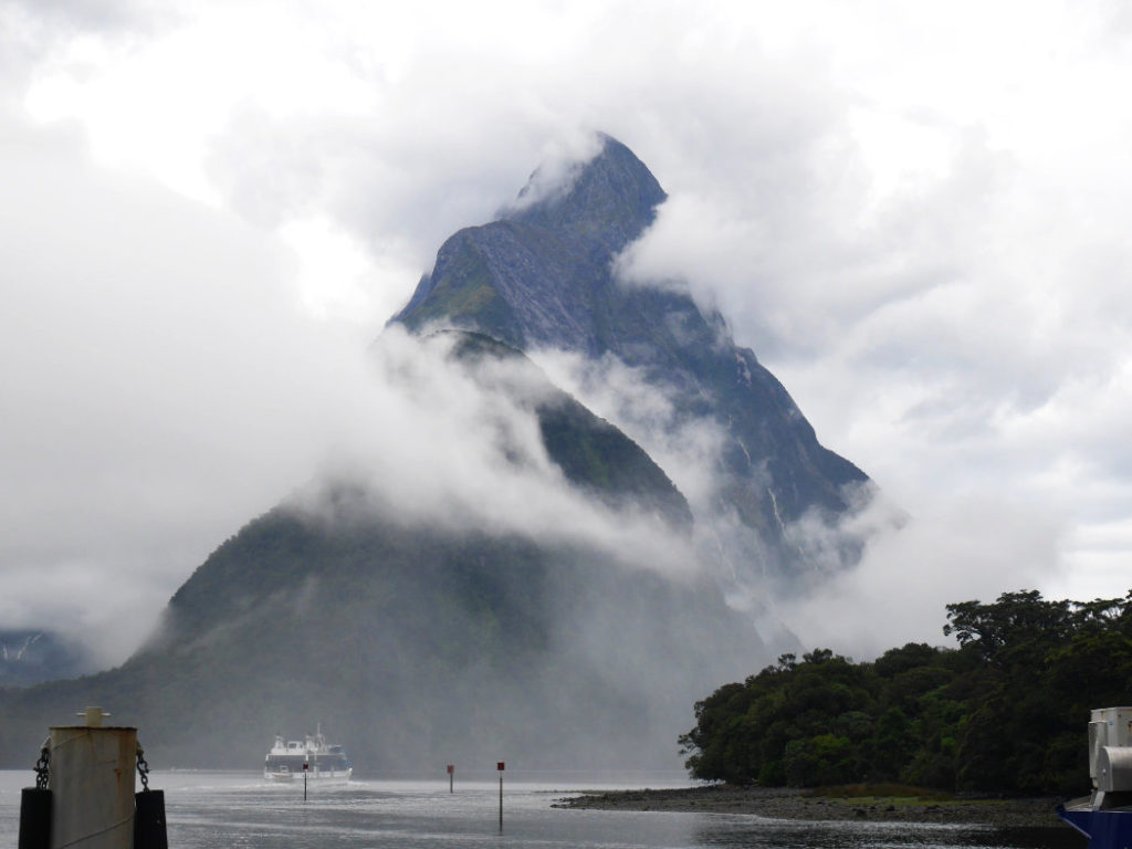 Looking out from the harbour