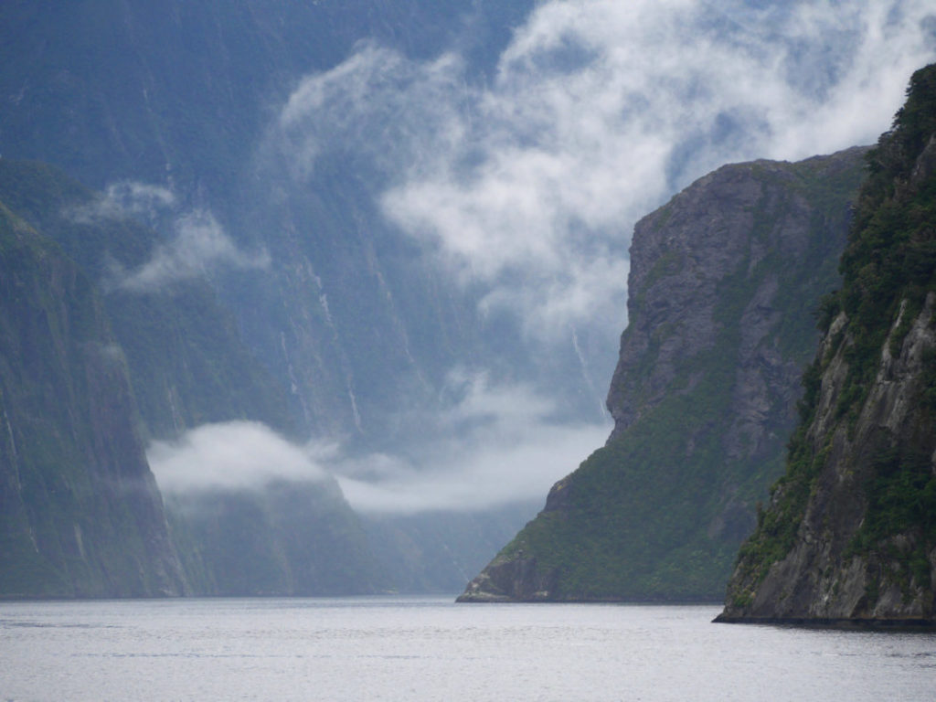 Views from the Milford Sound boat tour