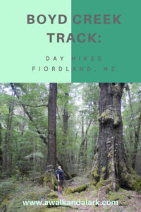 Boyd Creek Track - Fiordland Day hikes