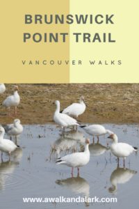Brunswick Point Trail