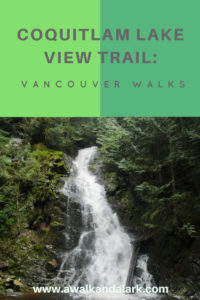 Coquitlam Lake View Trail