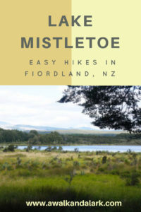 Lake Mistletoe - Fiordland hike