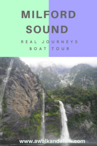 Milford Sound Boat Tour