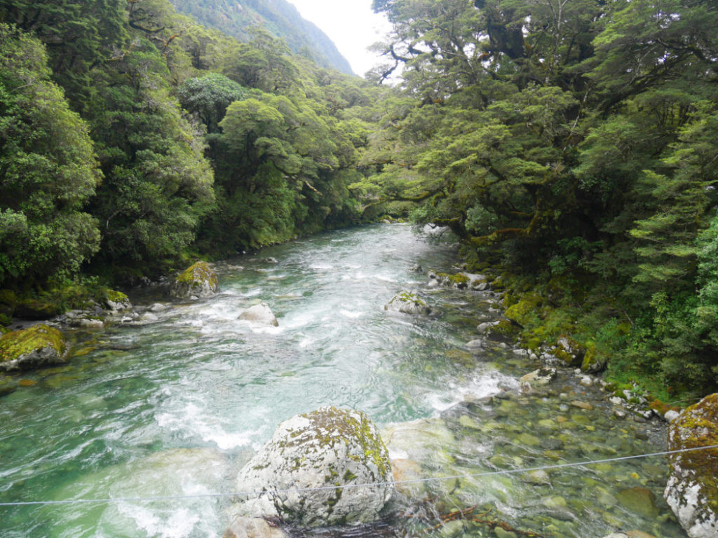 Hollyford River