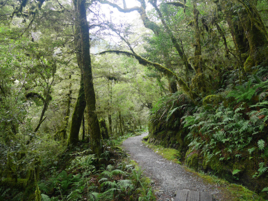 Start of Lake Marian Trail