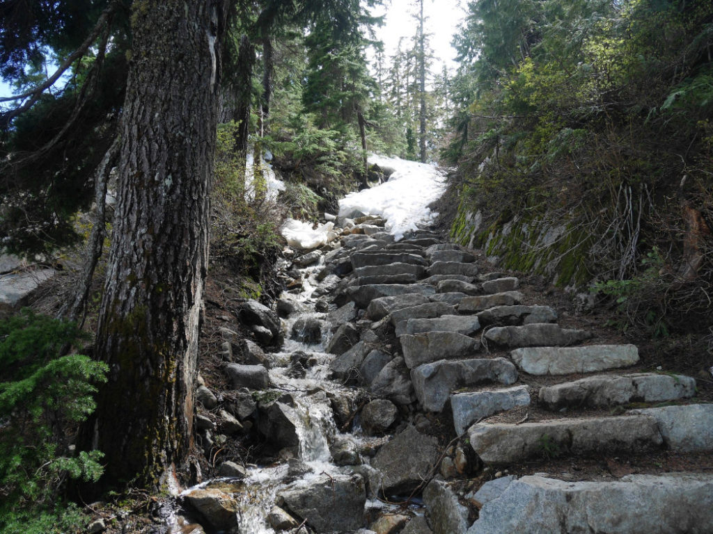 Start of black Mountain hike to Eagle Bluff