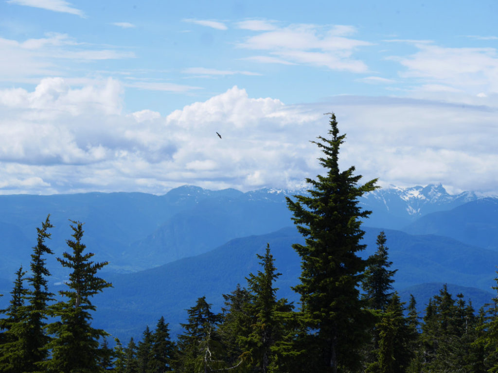 Views from Black Mountain