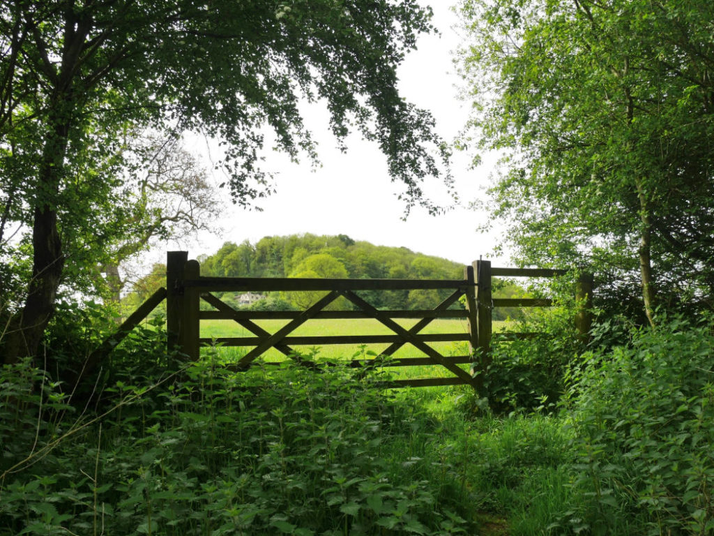 More gates