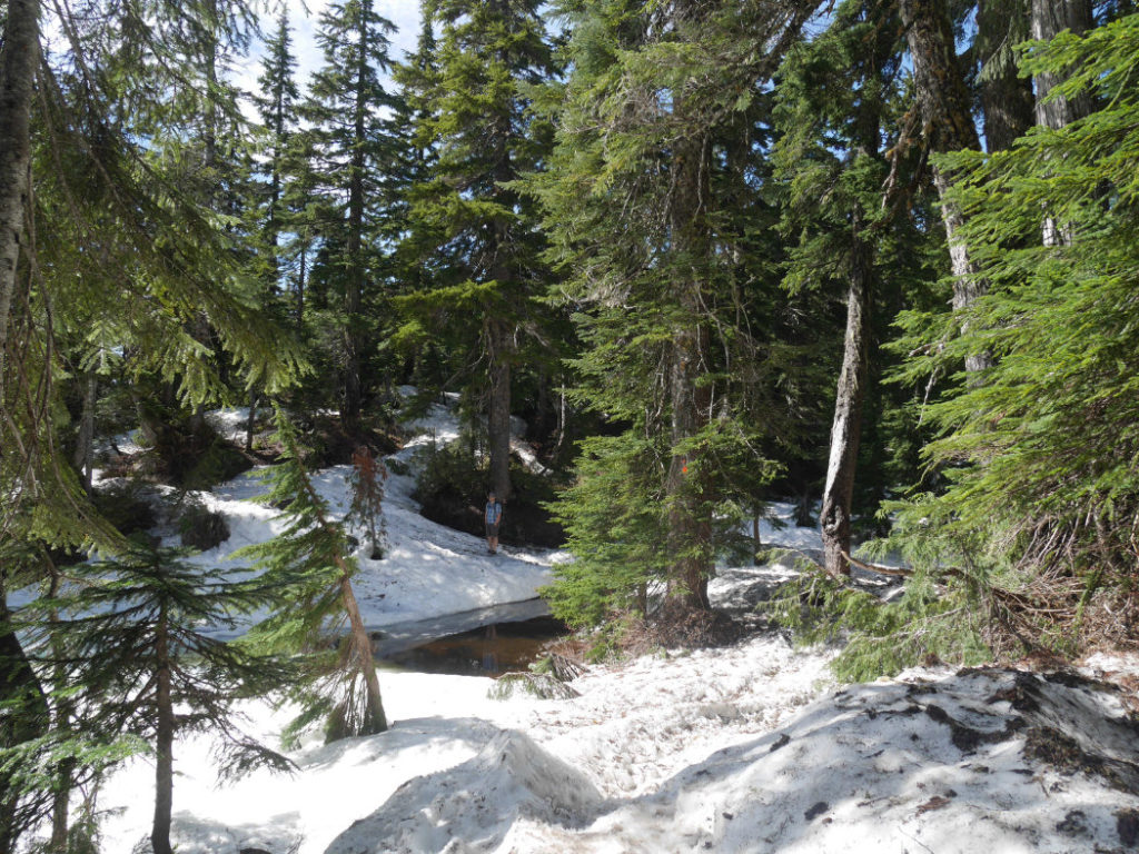 The hike down to Eagle Bluffs
