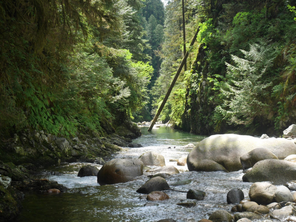 Time for a dip in Lynn Creek