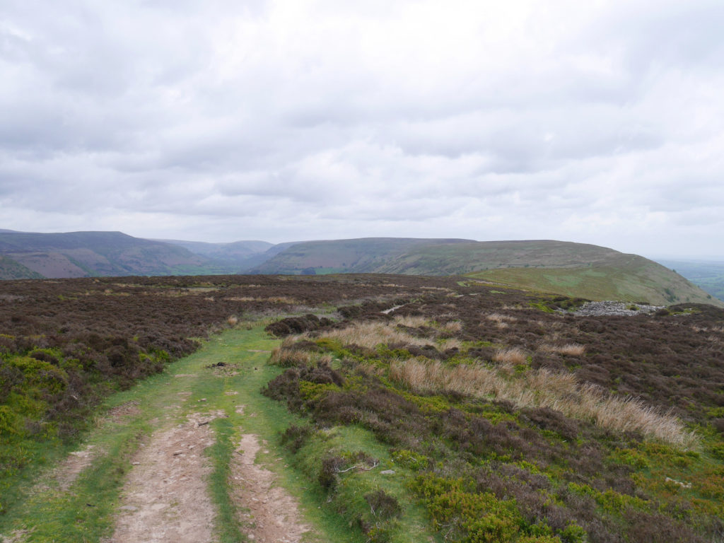 The walk so far