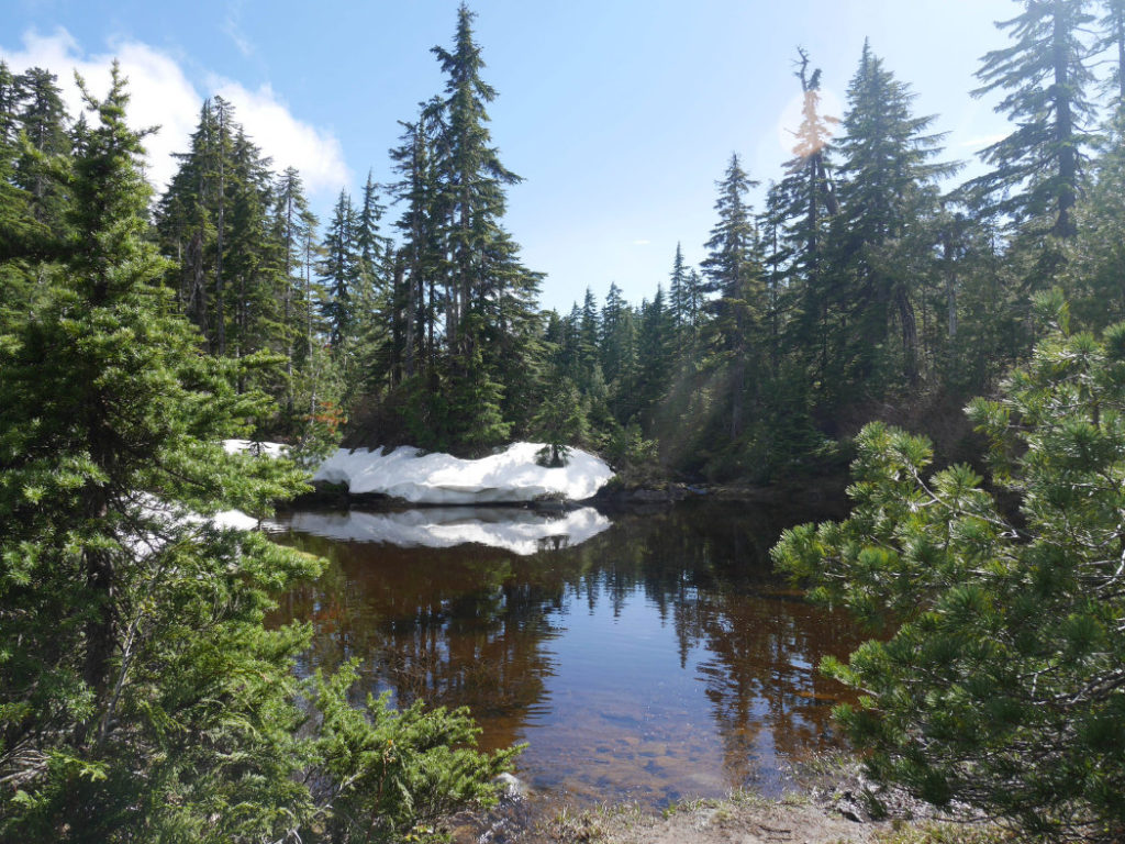 Lakes on Black Mountain