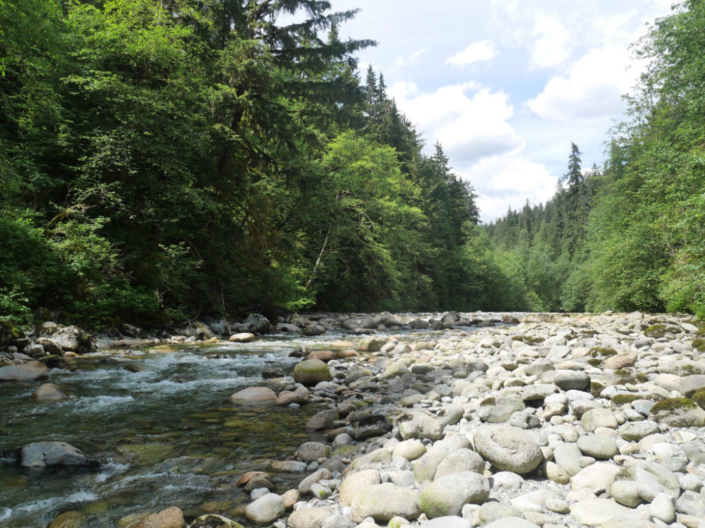Views North to Lynn Creek Park