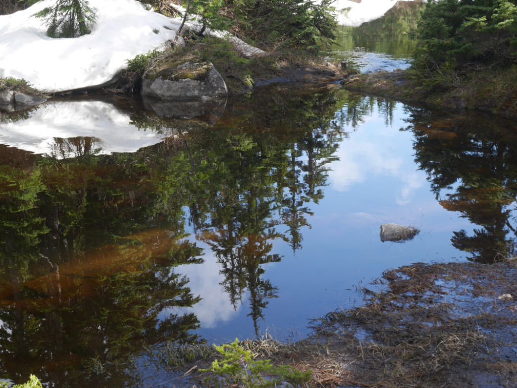 Black Mountain reflections