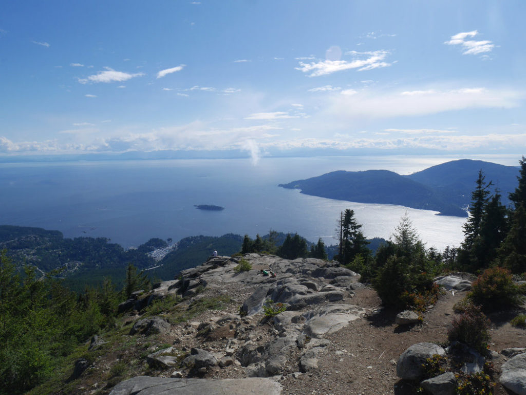 Eagle Bluffs views