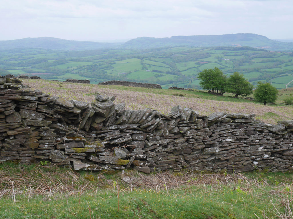 Pretty stone wall