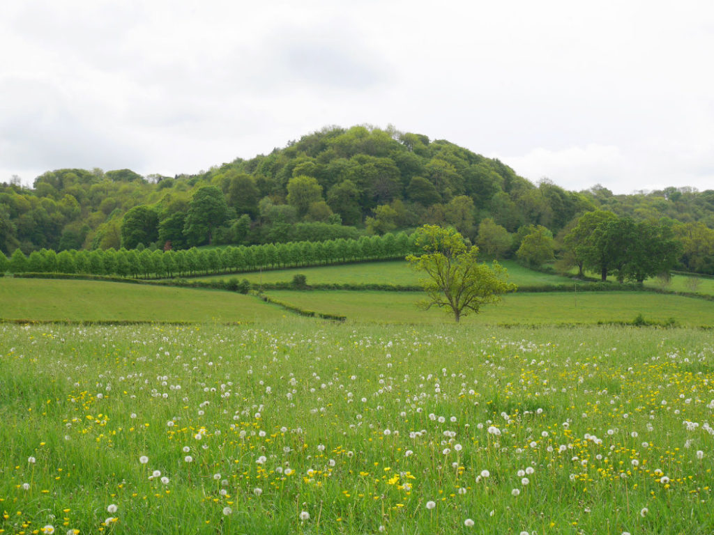 Uley views