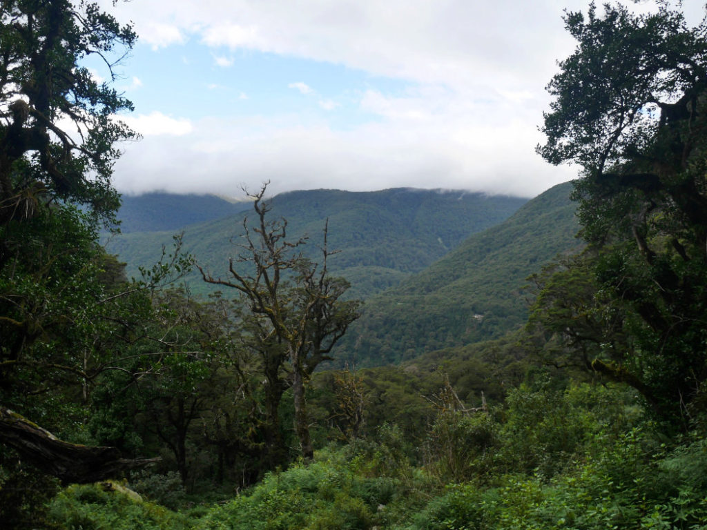 Views over towards Key Summit