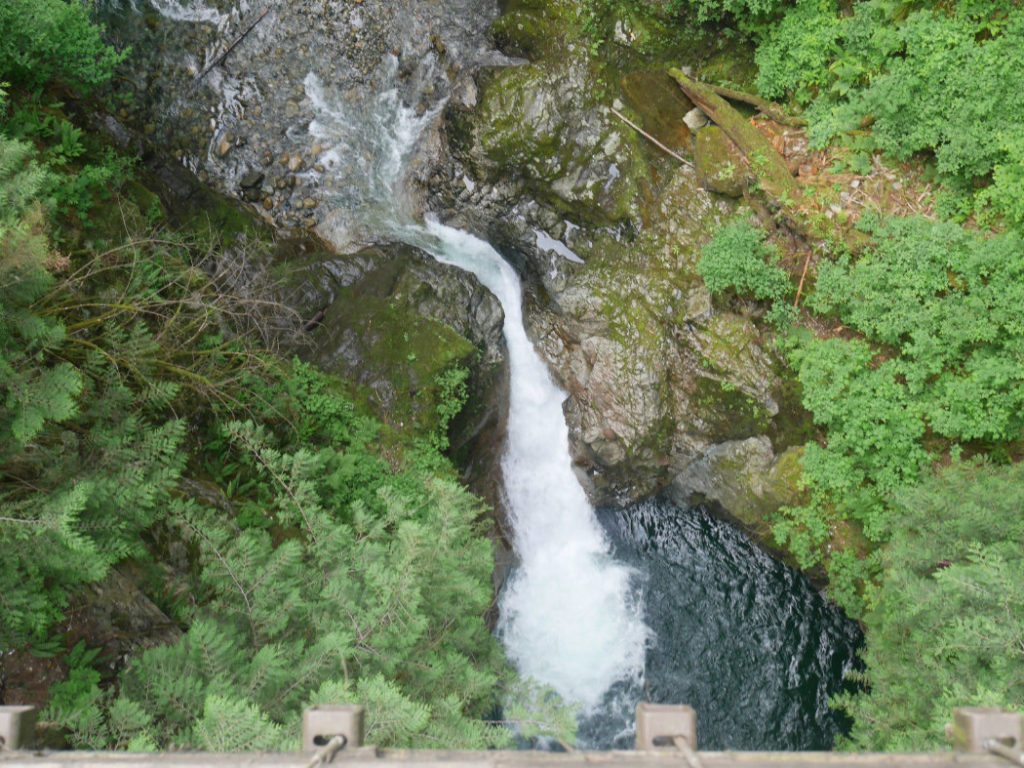Look down from Lynn Canyon Suspension Bridge
