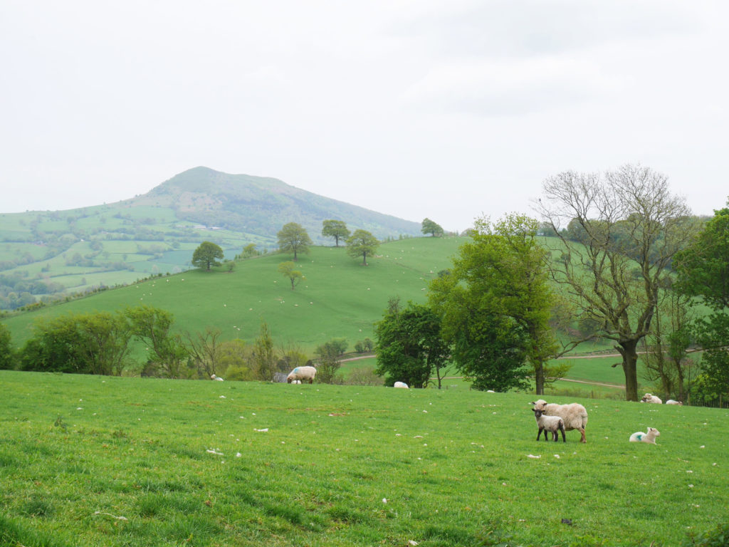 Nearly down to Pandy