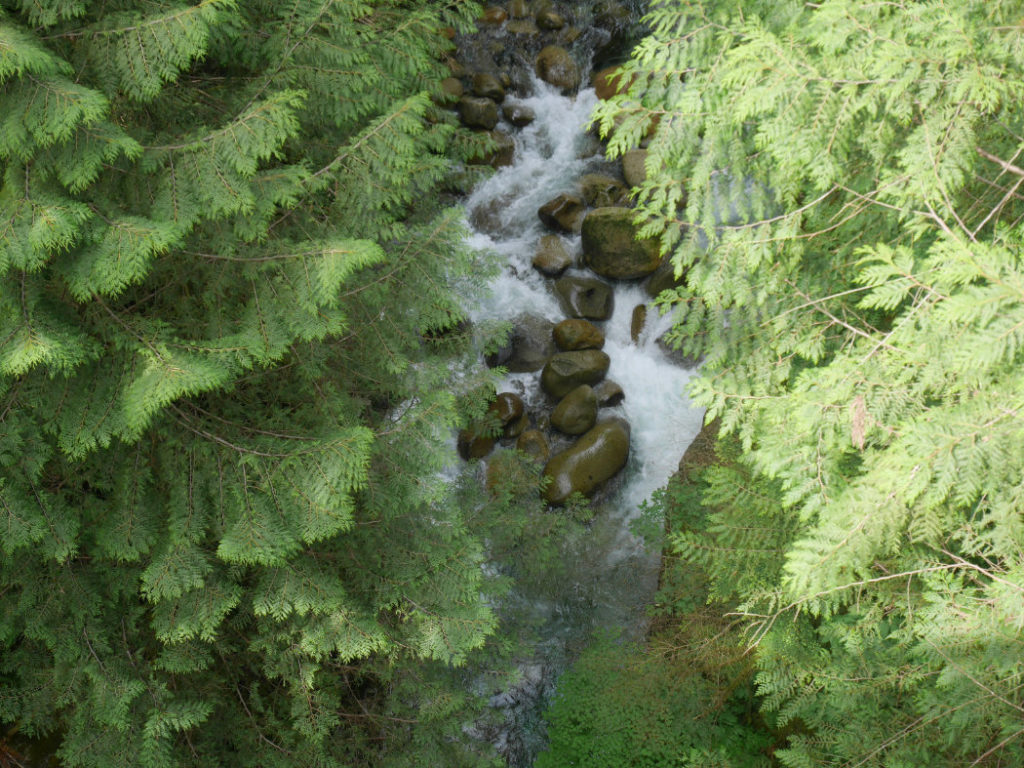 Lynn Canyon Views from the pipeline bridge