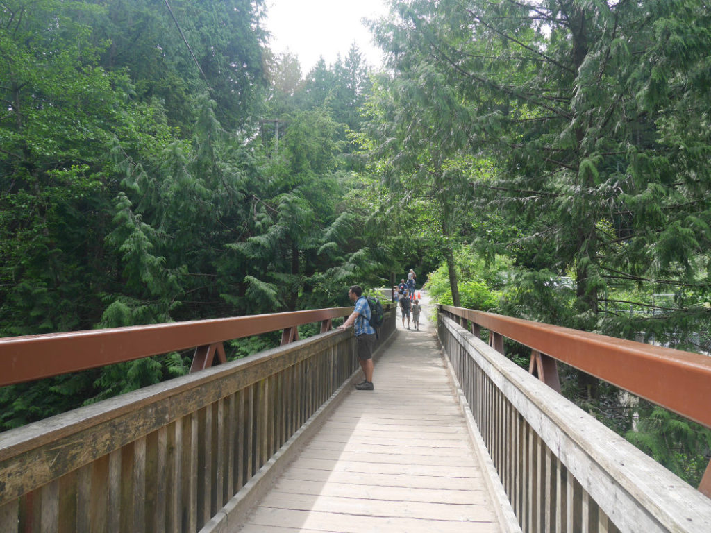 Pipeline Bridge