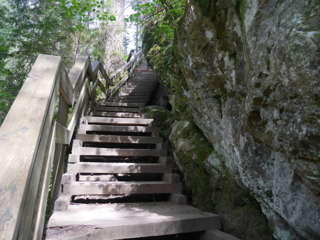 Steps back to Lynn Canyon Suspension Bridge