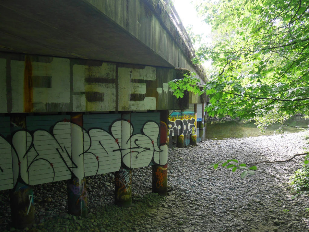 Down to Harbourview park
