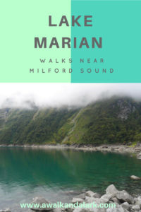 Lake Marian Track - Walks near Milford Sound