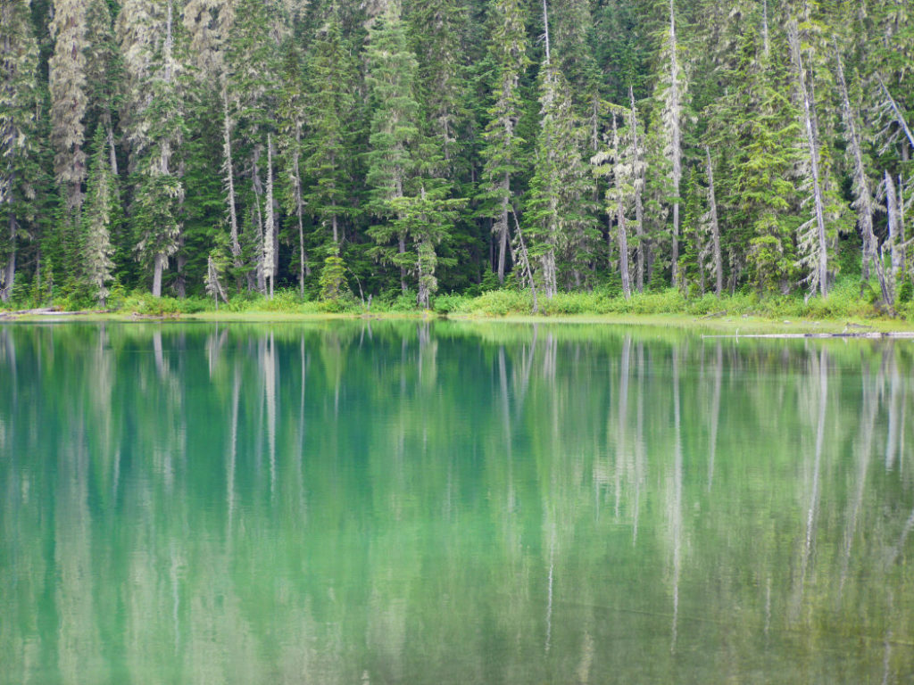 Reflections on Lower Joffre Lake