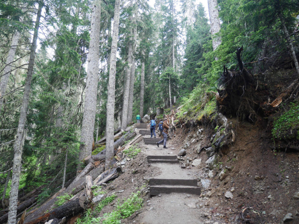 Joffre Lakes trail steps