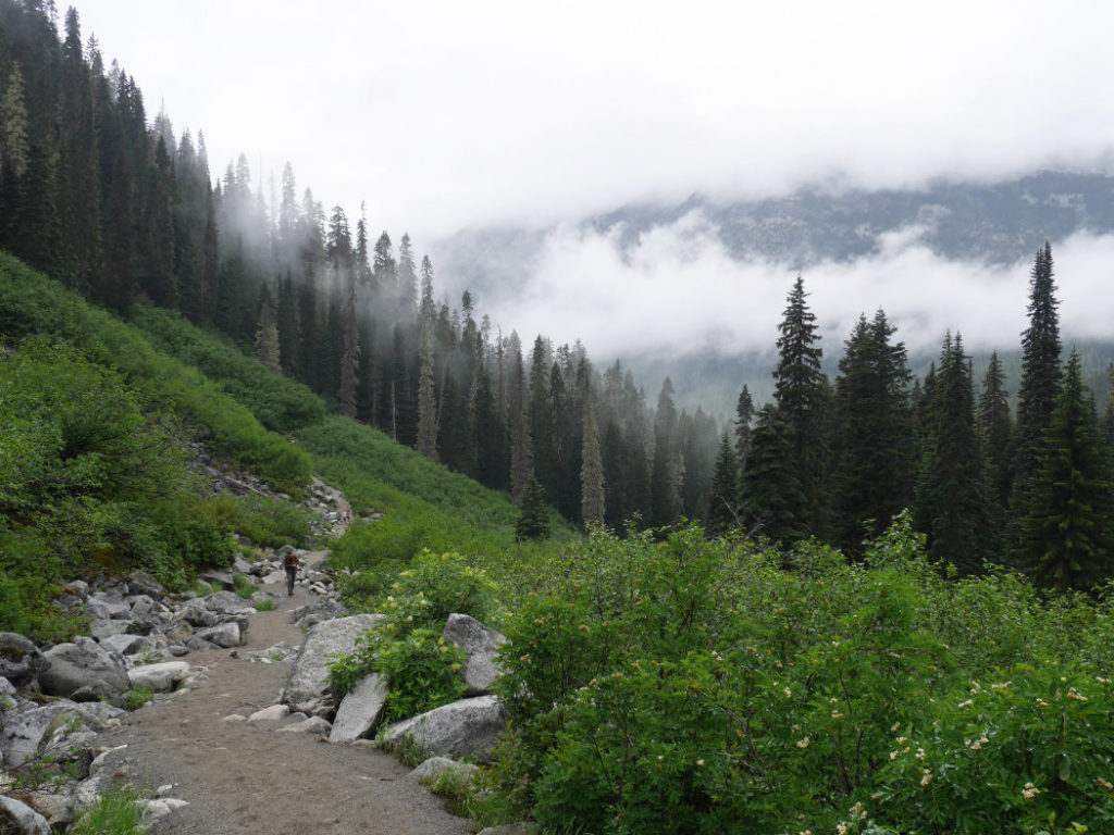 Misty views on the Joffre Lakes trail