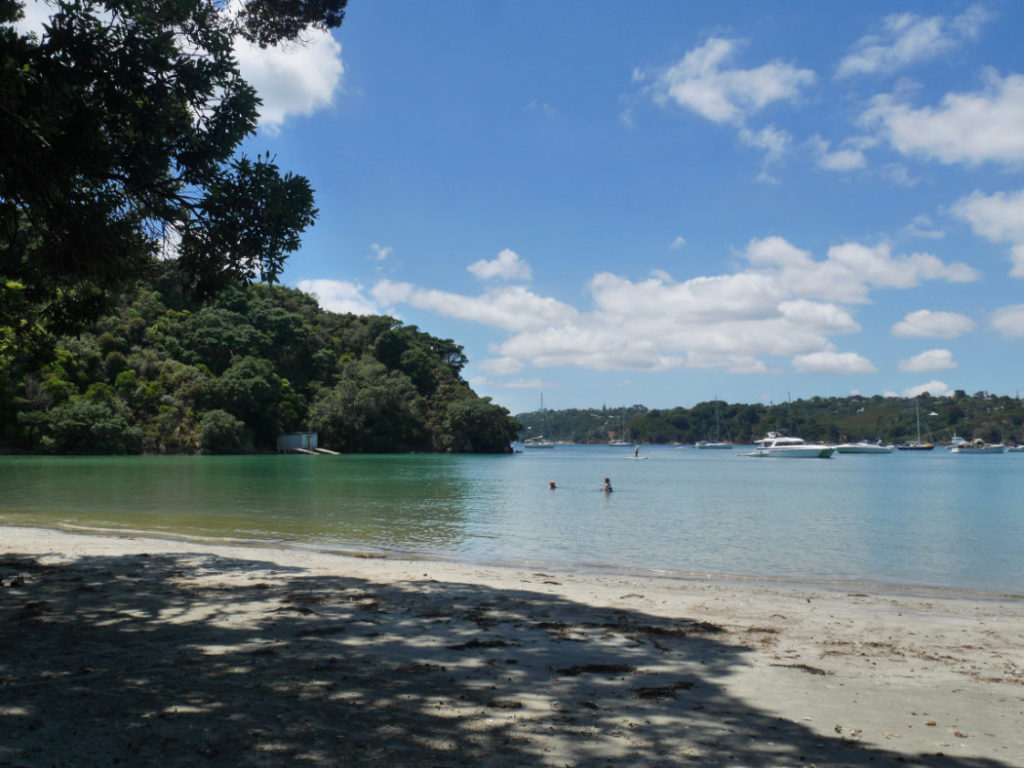 The water in Oneroa bay was gorgeous!!