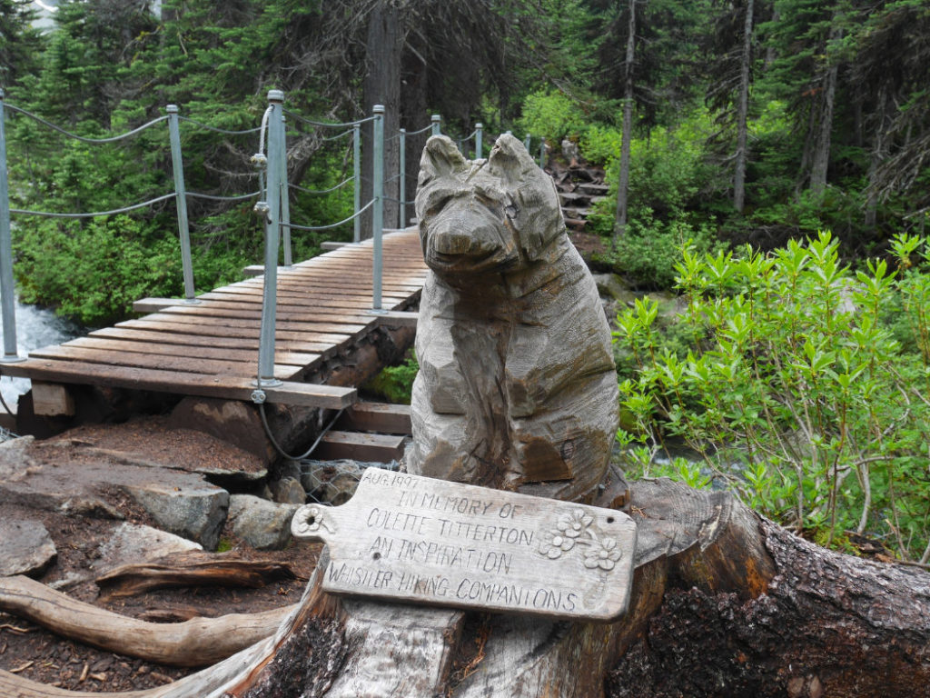 Bear carving
