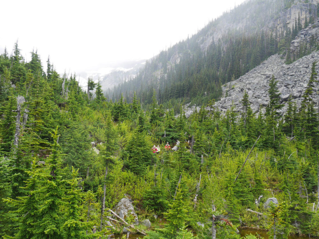 Can you see my Wanderung friends