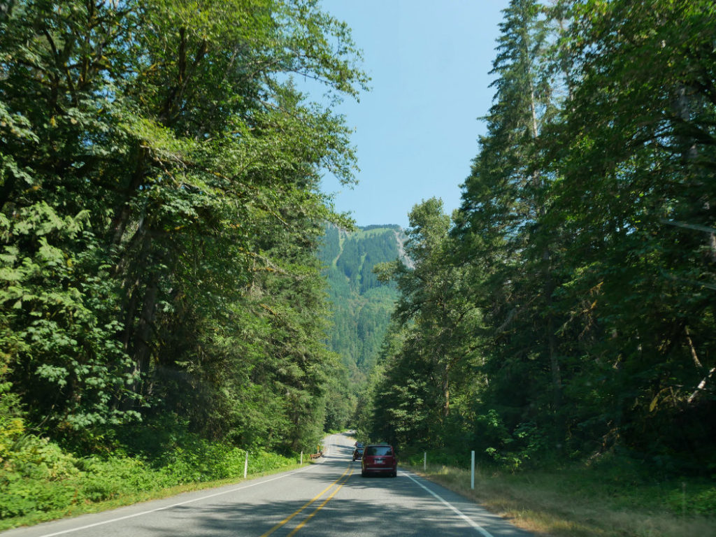 The roads to Mount Baker are gorgeous